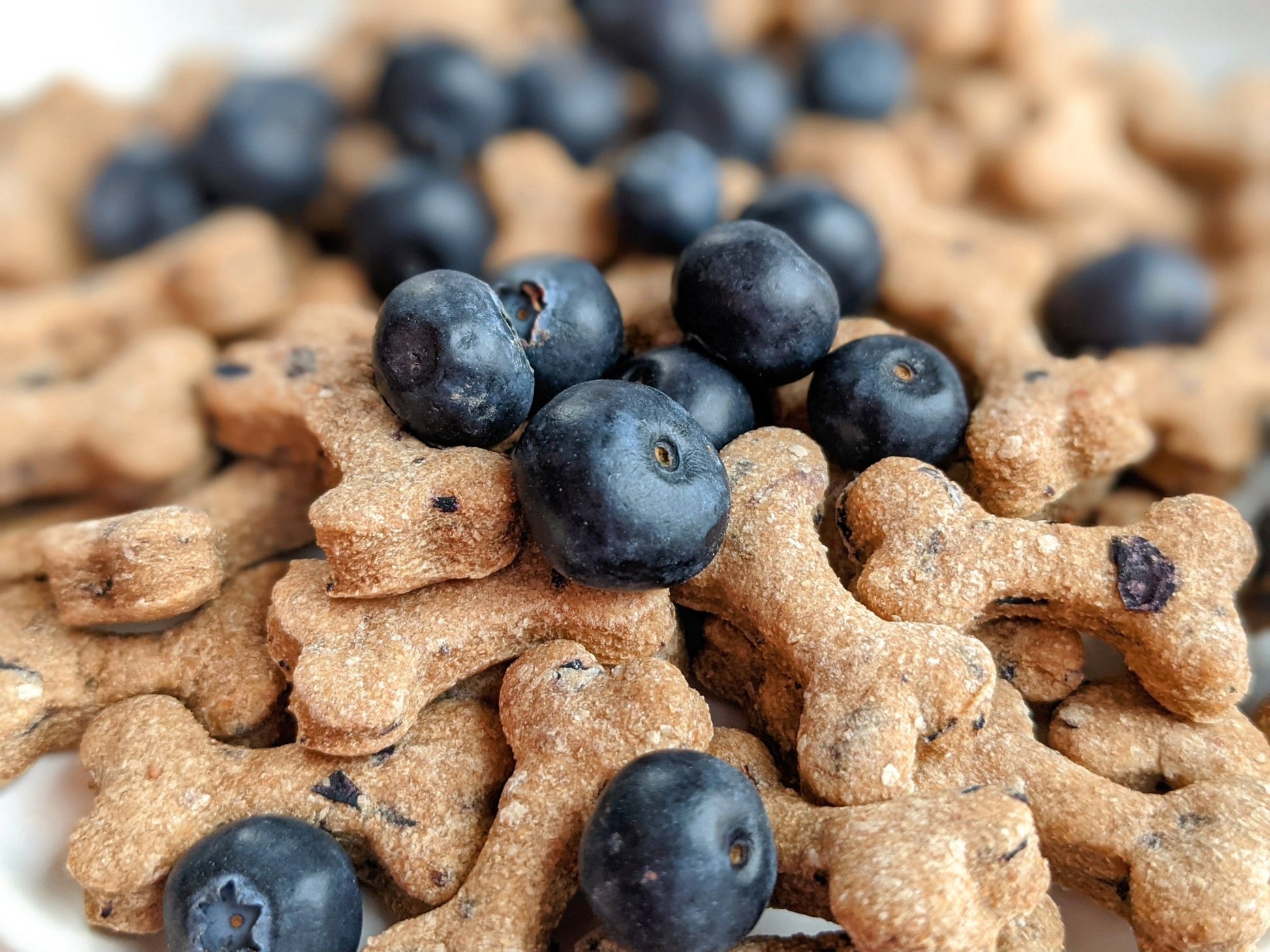 Blueberry Apple Bitty Biscuits - Barkley's Biscuit Company