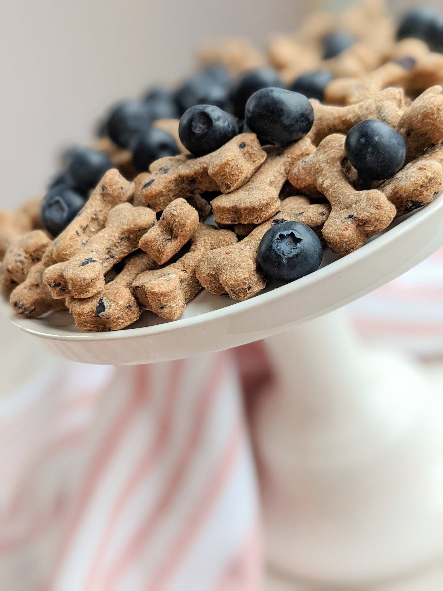 Blueberry Apple Bitty Biscuits - Barkley's Biscuit Company